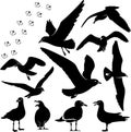 Gulls or seagulls silhouette illustration set