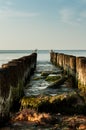 Gulls sitting on breakwater Royalty Free Stock Photo