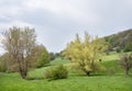 gulpdal with hiking trail in spring near slenaken in south limburg Royalty Free Stock Photo