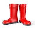 Gumboot Royalty Free Stock Photo