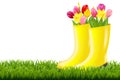 Gumboot With Green Grass And Tulips