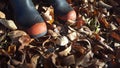 Gumboots on autumn leaves