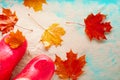 Gumboots and autumnal colorful leaves