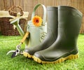 Gumboots and gardening tools Royalty Free Stock Photo