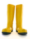 Gumboots