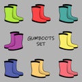 Set of rubber boots in different colours.
