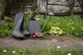 Gumboots, watering can and gardening gloves