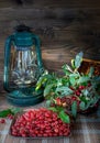 Gumi berries still life  on a wooden table Royalty Free Stock Photo