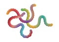 Colorful gummy jelly worms candies icon vector Royalty Free Stock Photo