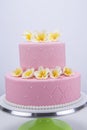 Gumpaste flower decorated cake Royalty Free Stock Photo