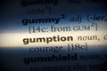 Gumption Royalty Free Stock Photo