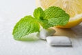 Gums with mint Royalty Free Stock Photo