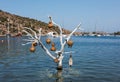 Gumusluk, a seaside village and fishing port in Bodrum. Mugla, Turkey