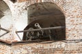 Gun on the defensive gallery fortress wall Kirillo-Belozersky Monastery in Vologda region, Russia