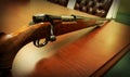 Gun Photographs Royalty Free Stock Photo