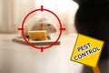 Gun target on rat near mousetrap with cheese and warning sign Pest Control Royalty Free Stock Photo