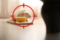 Gun target on rat near mousetrap with cheese. Pest Control