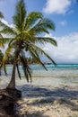 Guna Yala, San Blas Royalty Free Stock Photo