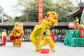 Lion Dance at Foshan Ancestral Temple(Zumiao Temple). a famous historic site in Foshan, Guangdong, China.