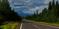 Gunflint trail, flowers, stormy skies