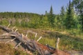 Gunflint Trail in Superior National Forest, Minnesota