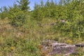 Gunflint Trail in Superior National Forest, Minnesota