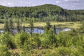 Gunflint Trail in Superior National Forest, Minnesota