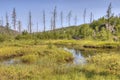 Gunflint Trail in Superior National Forest, Minnesota