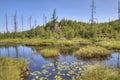 Gunflint Trail in Superior National Forest, Minnesota