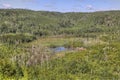 Gunflint Trail in Superior National Forest, Minnesota