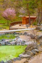 Sainokawara Park at Kusatsu onsen in Gunma, Japan Royalty Free Stock Photo