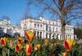 Gunnersbury Estate, once owned by the Rothschild family, now owned by Hounslow and Ealing Councils. Tulips in foreground.