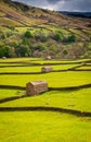 Gunnerside Field Barns