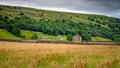 Gunnerside Meadows and Field Barns