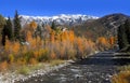 Gunnison national forest, Colorado