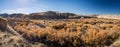 Gunnison River in Delta County, Colorado