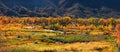 Gunnison river landscape