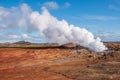 Gunnuhver Steam Vent at Gunnuhver Geothermal Area