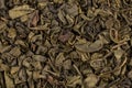 Gunpowder green tea