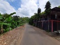 POV in over head shot from a motorbike driving on a village road.