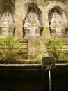 Gunung Kawi, Beautiful temple in the nature, palm trees and ricefield in Bali