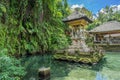 Gunung Kawi temple Sebatu Pura Gunung Kawi Sebatu, Beautiful Holy spring water temple in Bali, Indonesia