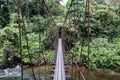 Gunung Mulu Camp 5 Hiking Trail Suspension Bridge