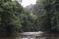 Gunung Mulu National Park Melinau River