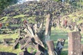 Gunung Padang historical and archaeological site on sunny day. Royalty Free Stock Photo