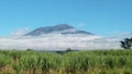 Mount Arjono, East Java Royalty Free Stock Photo