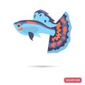 Guppy aquarium fish color flat icon