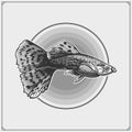 Guppy emblem. Black and white realistic graphics.