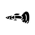 guppy fish glyph icon vector illustration