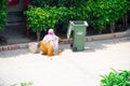 Old lady in saree and mask cleaning pavements sidewalks and streets with a wooden broom and putting garbage into a green